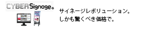 �ǥ����륵���͡����֥����С������͡�����